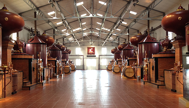 Henessy-Cognac-Distillery