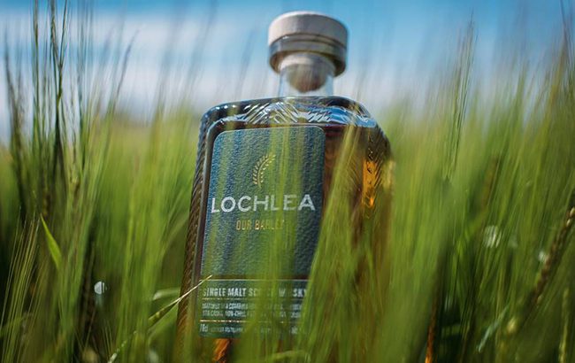 Lochlea我们的大麦